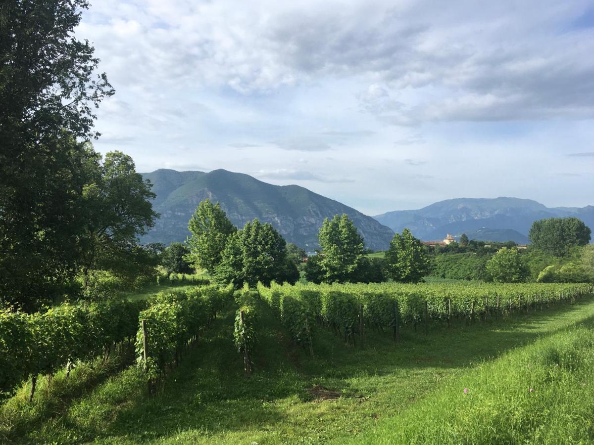 Holiday Home Punta D'Oro With Garden, Parking Place And Lake Access At 300 M Изео Екстериор снимка